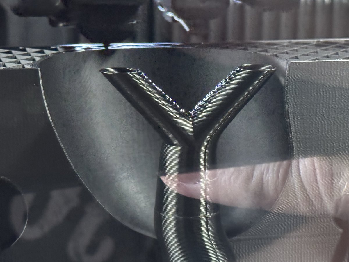 Carumbad tweet media