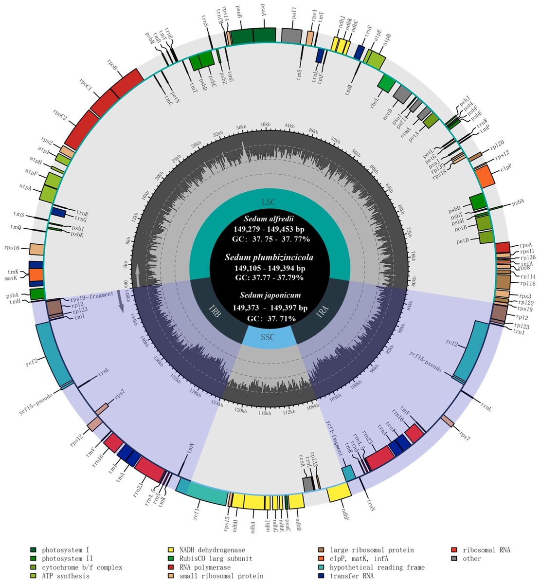 Genes_MDPI's tweet image. Zhang et al. #sequenced #plastomes from three Sedum species to understand their #evolutionary relationships and plastome structural evolution. They provides valuable insights into both intra-specific and intra-generic plastome #variation in Sedum.
mdpi.com/2073-4425/15/4…