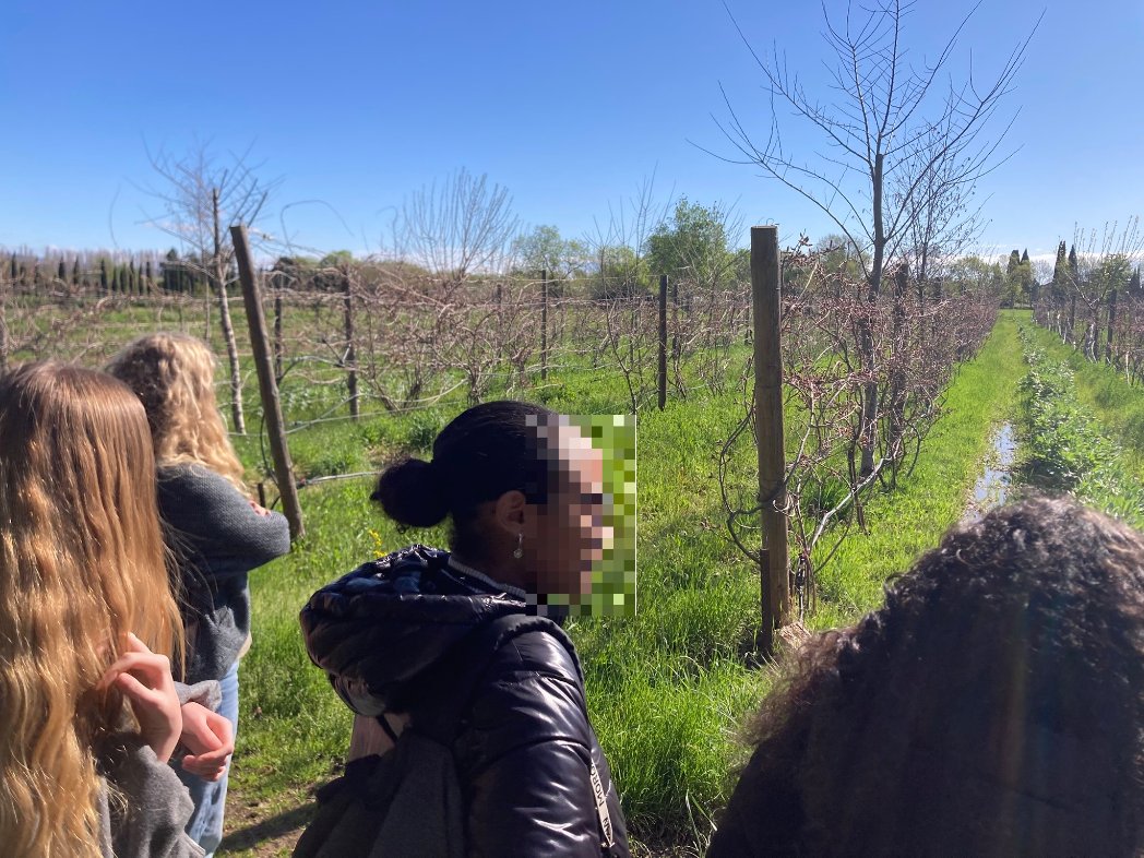 Lycée Régional Parc Saint Jean tweet media