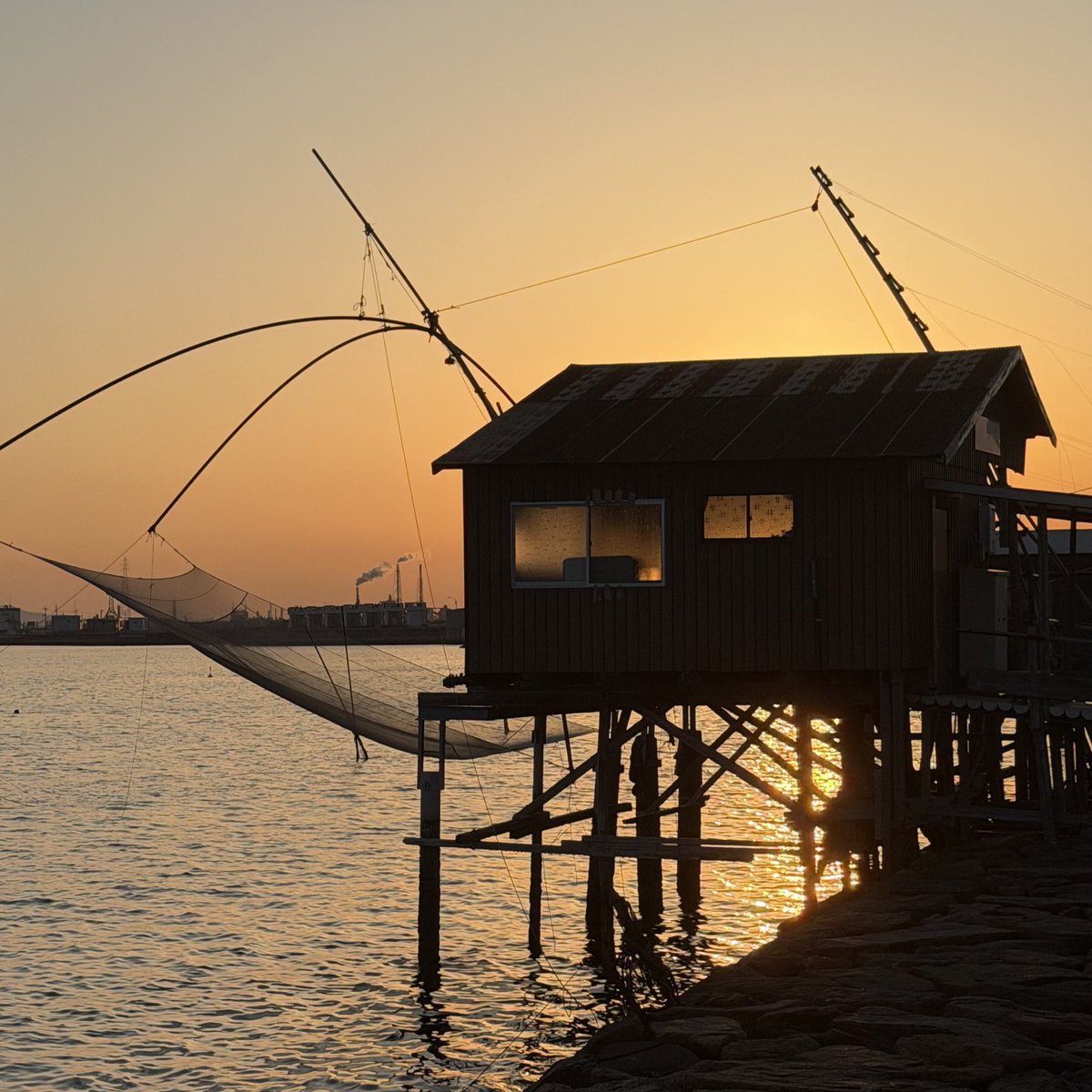 この時間帯に来たかった