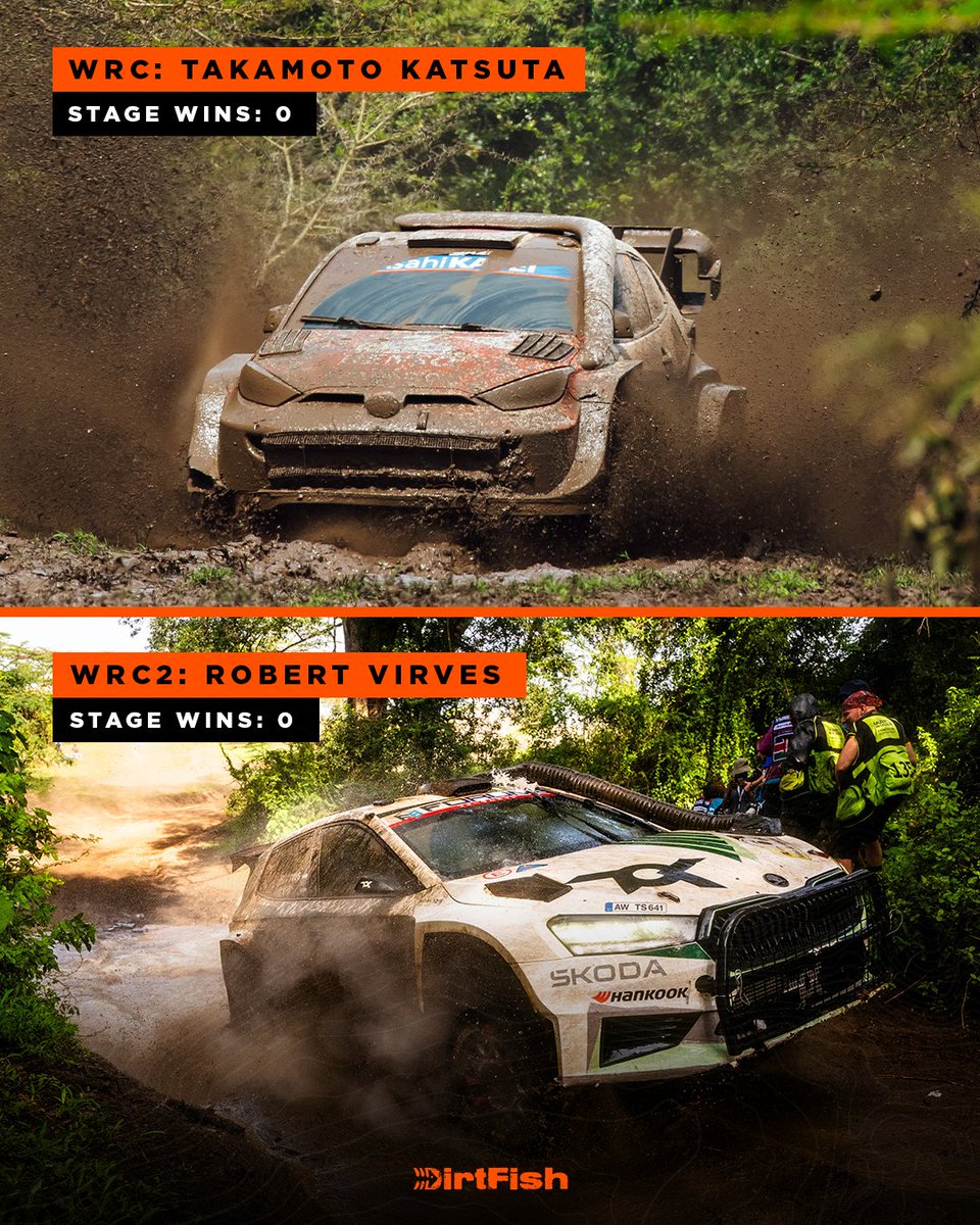 DirtFish tweet media