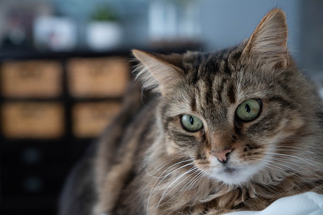 Martin Villarreal tweet media