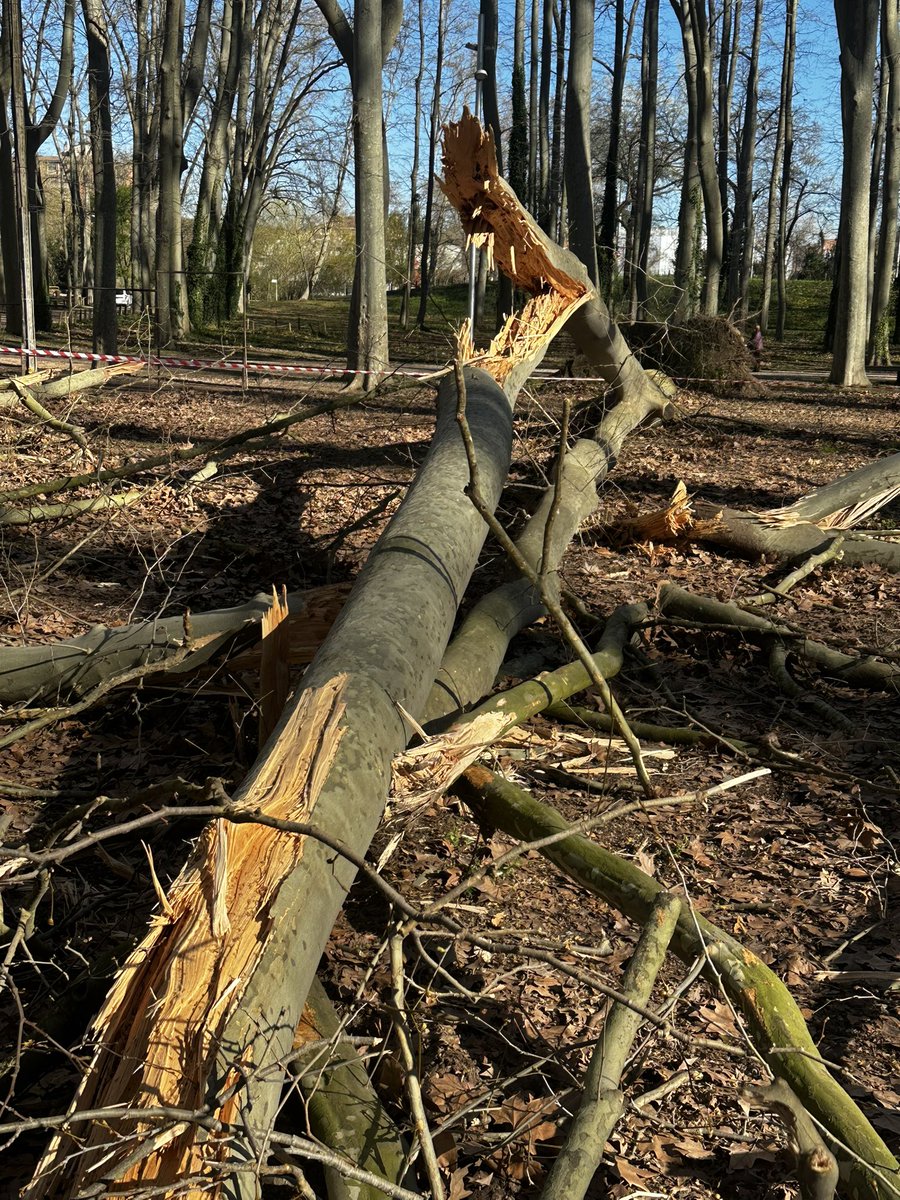 Lluís Regincós tweet media