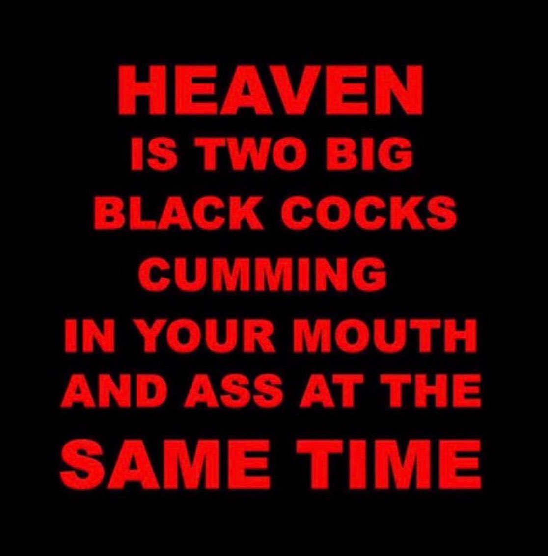 BLACK VELVET KING tweet media