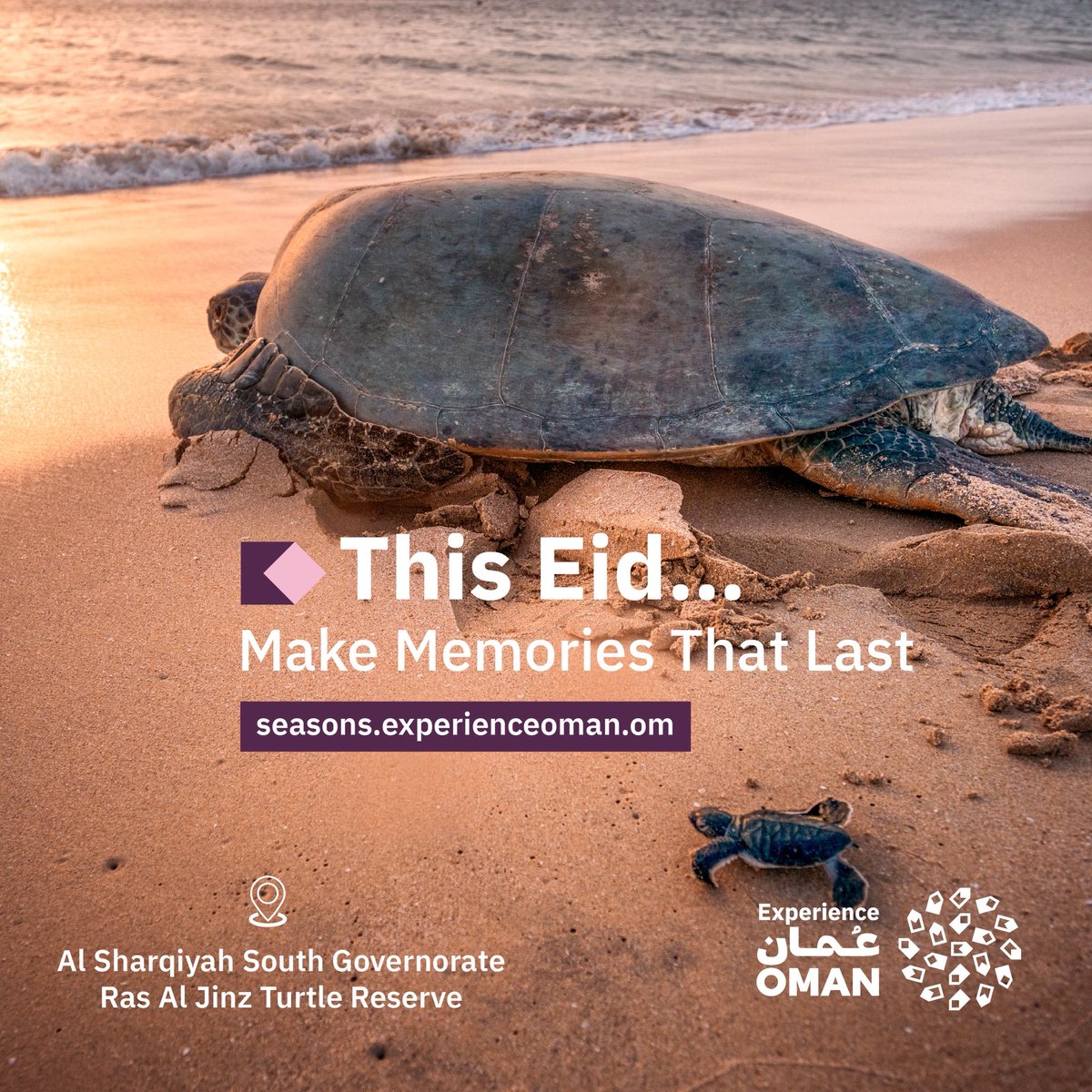 Experience Oman tweet media