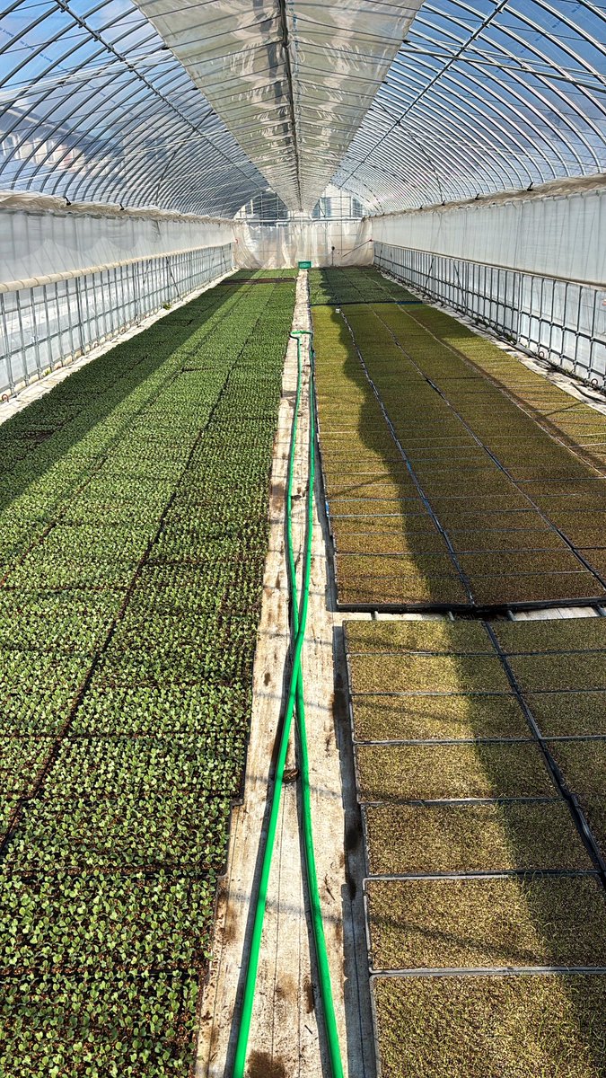 s_0506_'s tweet photo. サッカー選手を引退してからはずっとやりたかった農業をはじめました👨‍🌾

毎日、青空の下で長野県の綺麗な空気吸って、土埃と花粉と紫外線を浴びまくってめちゃくちゃ楽しいです🔥

種から芽が出て葉が出来て、すくすく成長していく作物と共に、サッカーの時と同様、泥臭く頑張ります💪

#農業最高 https://t.co/RSiYq63f6u