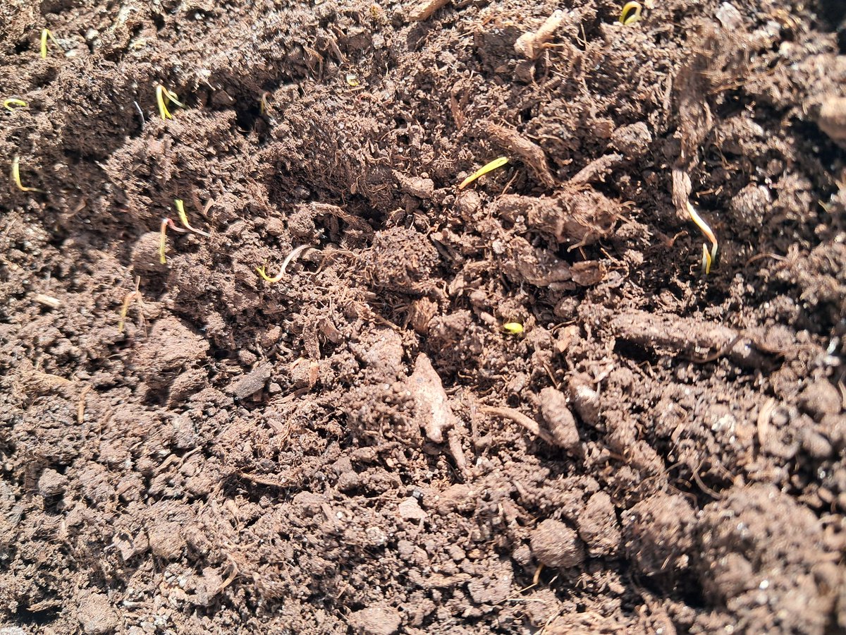 GrowingFarm tweet media