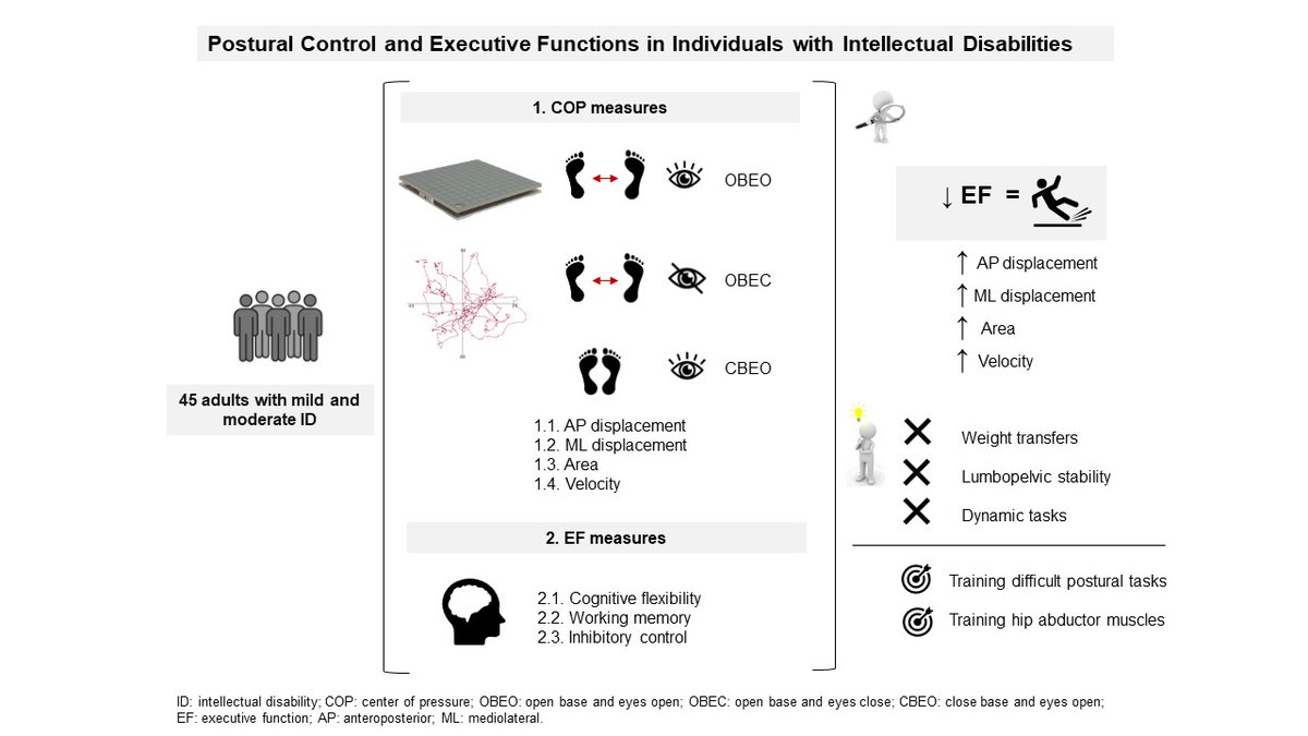 🫂Un estudio con 45 adultos con discapacidad intelectual encontró que quienes tenían menor función ejecutiva mostraban peor control postural, más desplazamientos del cuerpo y más inestabilidad.
🤝 Trabajo en equipo de ENSADE, @heqolgoup y <a href="/aspronabierzo/">asprona bierzo</a>
📄 DOI: 10.1002/brb3.71263