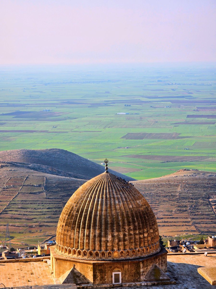 Βλάνταν Ράζνατοβιτς tweet media