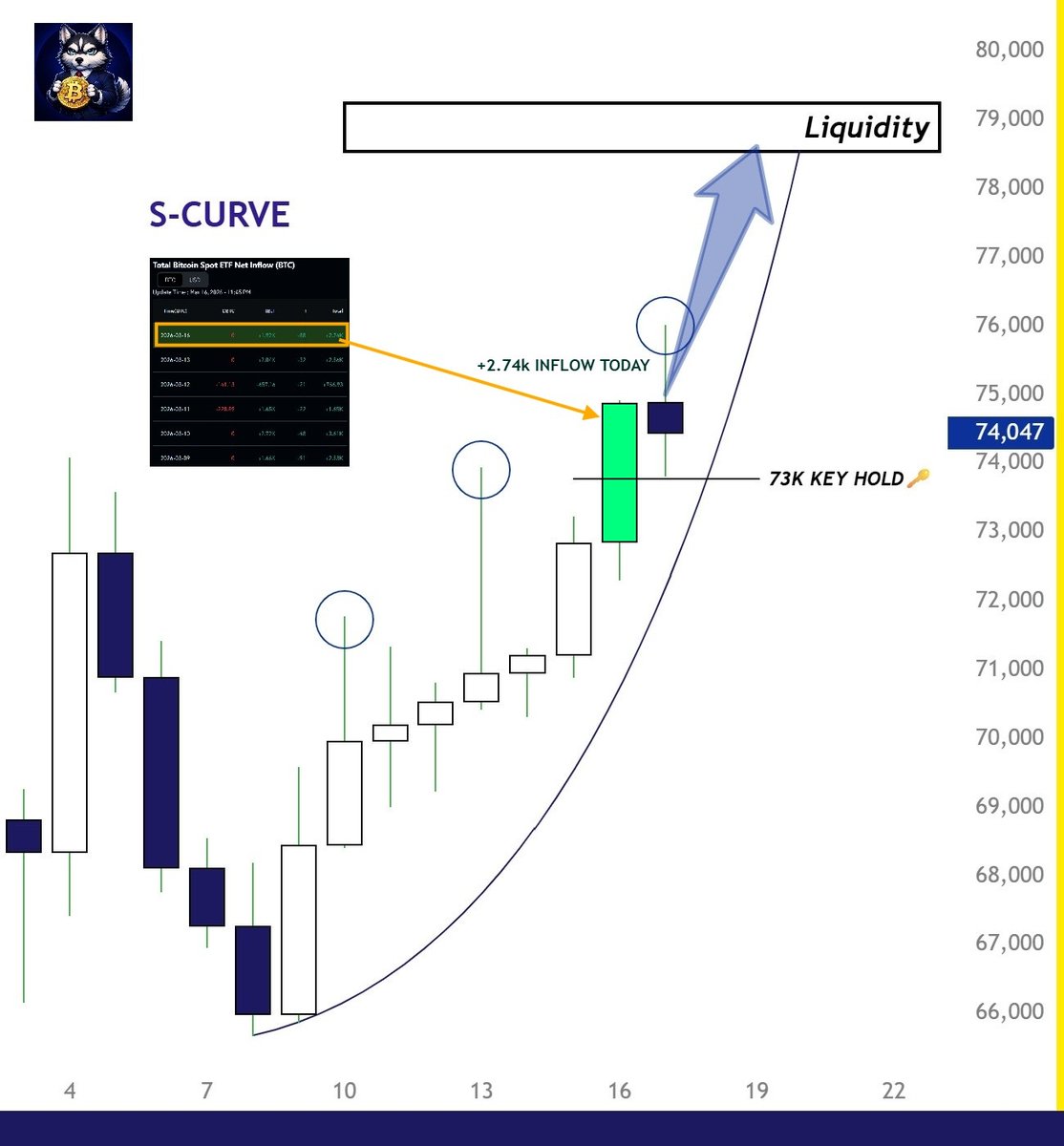 ProfitHusky tweet media