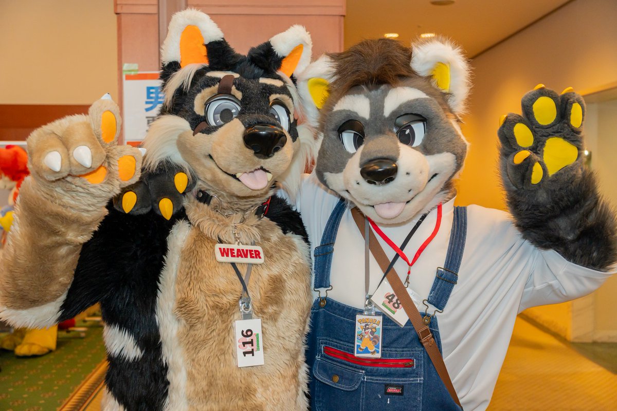 フリート🐱📷️ tweet media