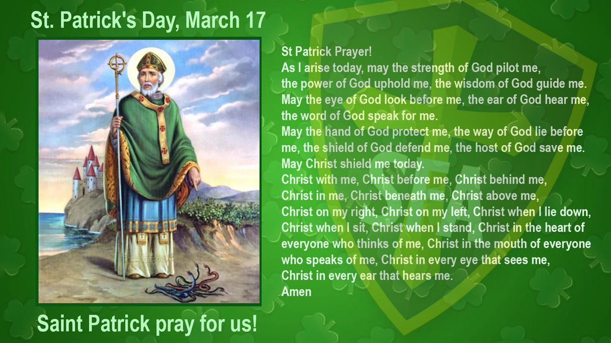 St Francis of Assisi Catholic College tweet media