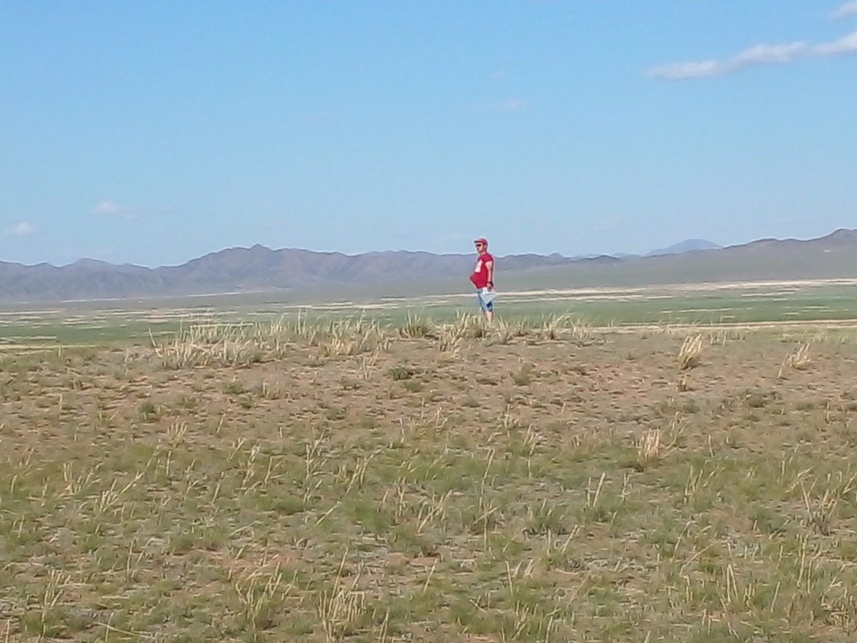 Adil Yılmaz tweet media