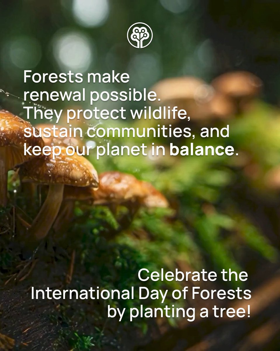 Tree-Nation tweet media