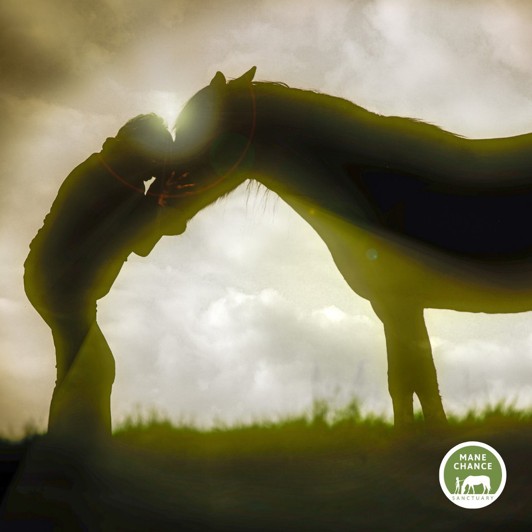 Mane Chance tweet media