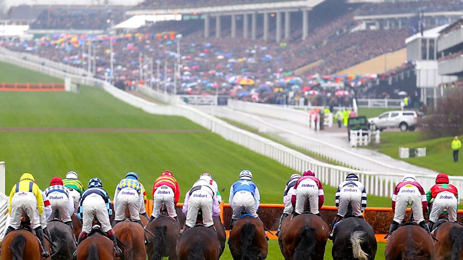 Cheltenham Talk tweet media