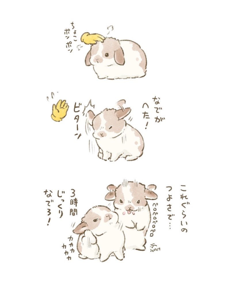 🐰鬼コーチ 