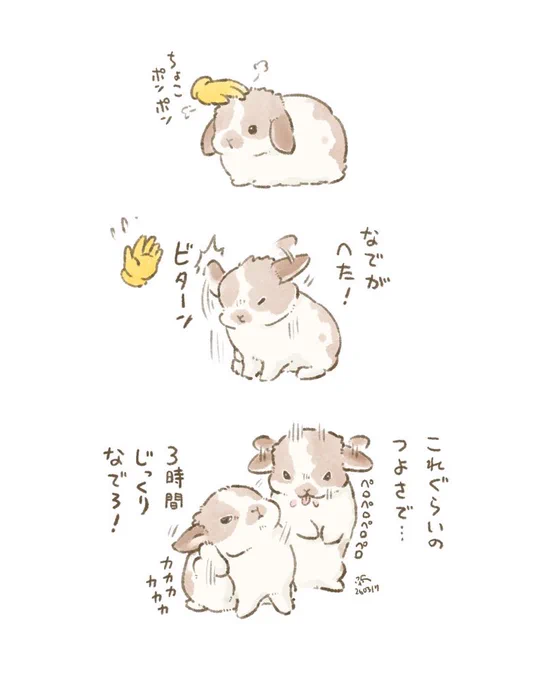 🐰鬼コーチ 