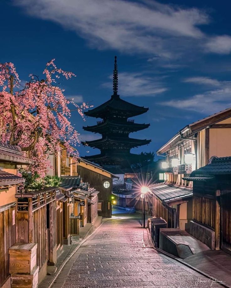 ReNature🦋 tweet media