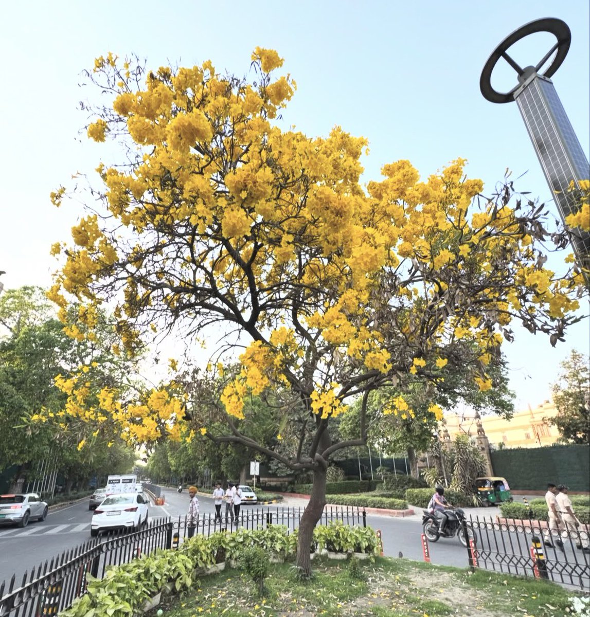 Pranjali tweet media