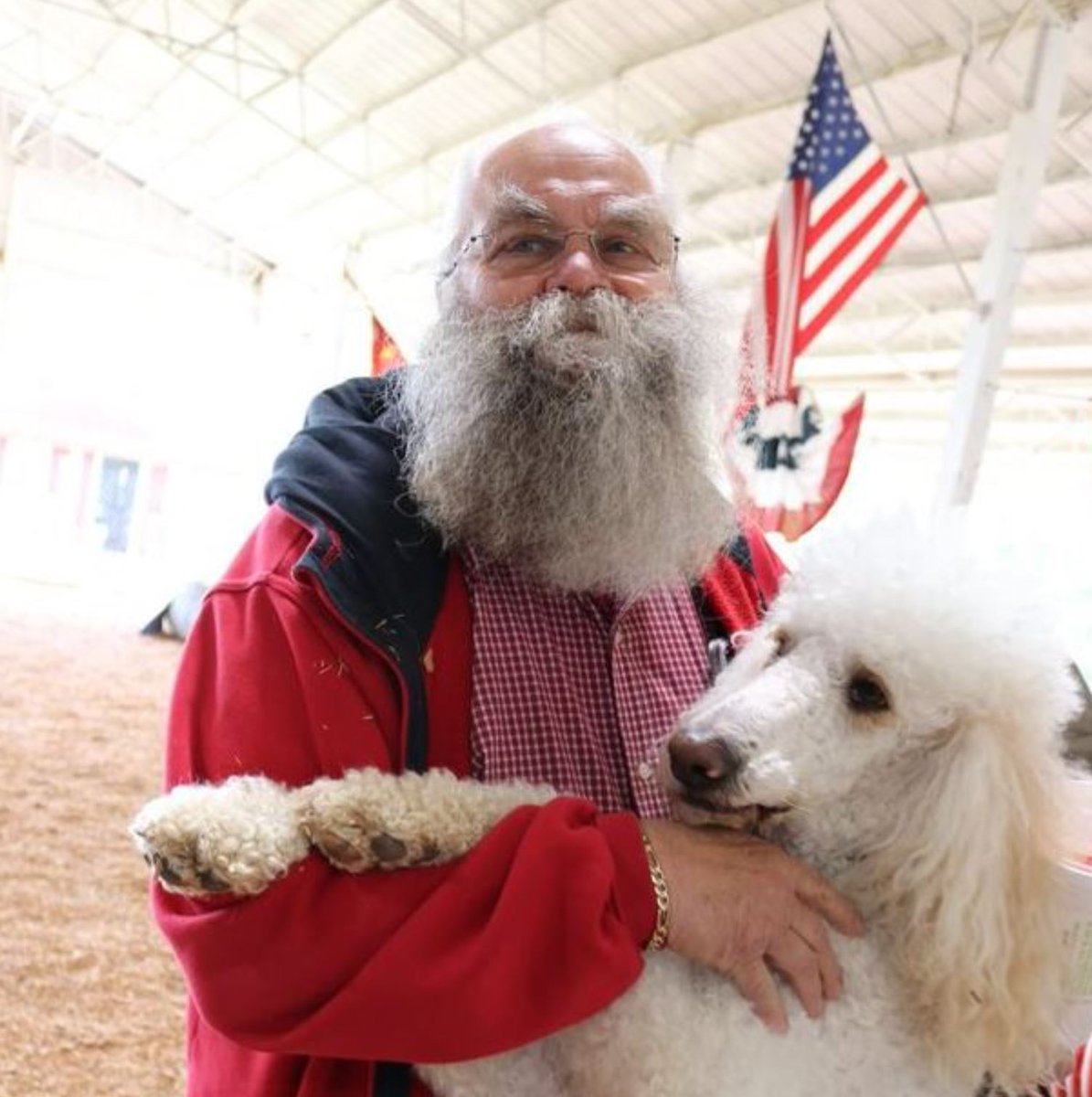 WorkingDogsForVets tweet media