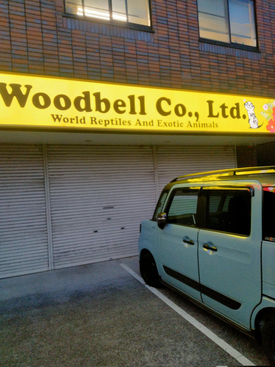 ダイスケ　生き物アカ tweet media