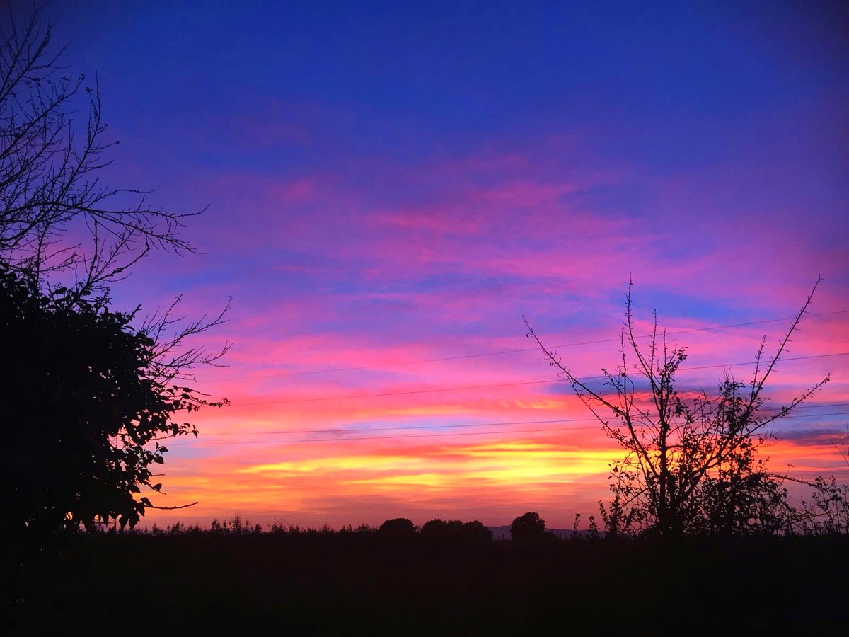 basia michalska tweet media