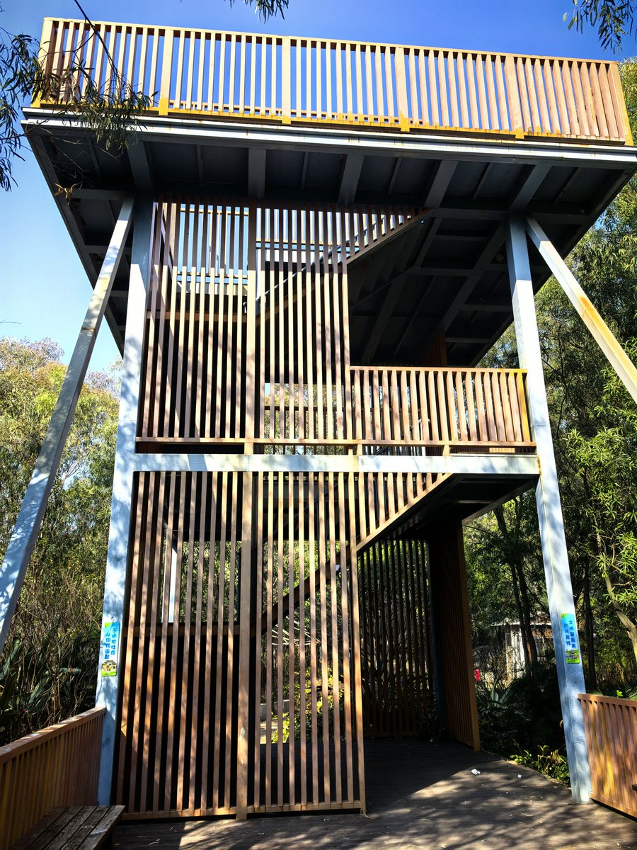 Super Ark tweet media