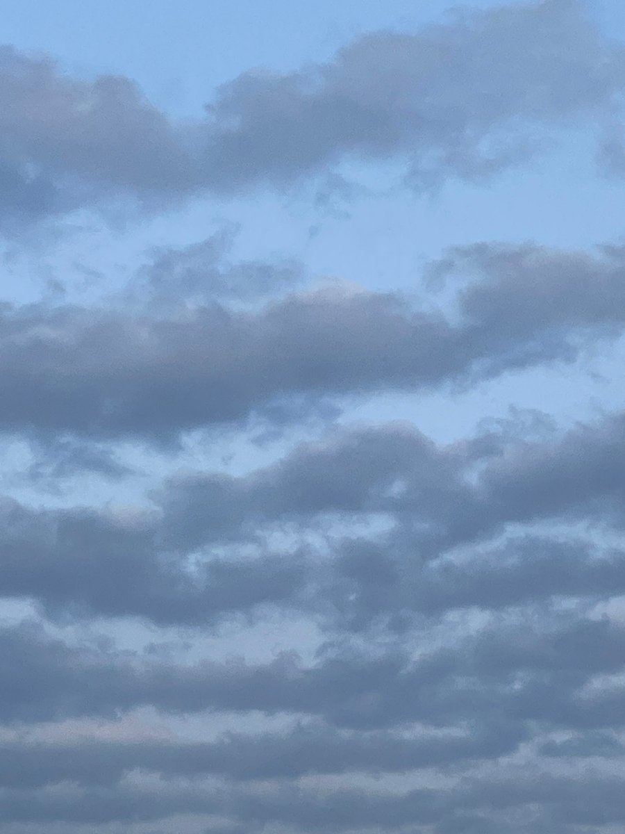 こだま和文 tweet media