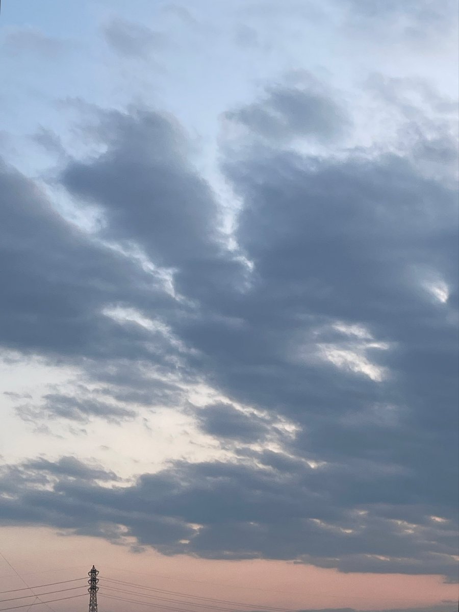 こだま和文 tweet media