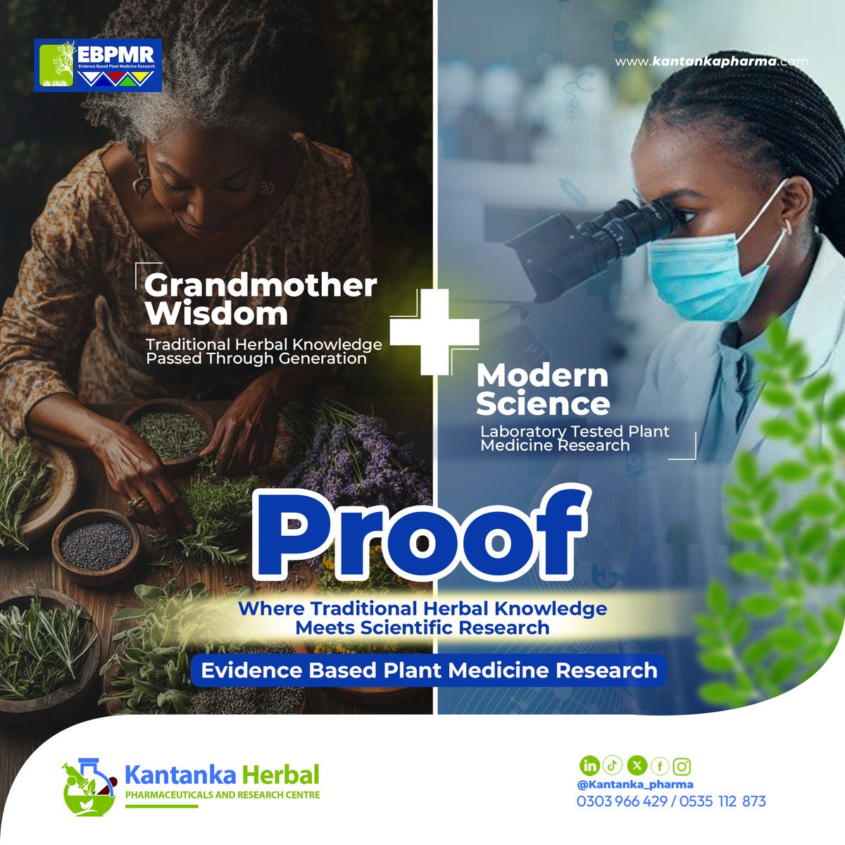 Grandmother used turmeric because she saw it work, not because she knew the science.
Today, we know that curcumin plays a role in supporting the body’s inflammatory response at a cellular level.
What you called old fashioned has been tested through experience.

What healing