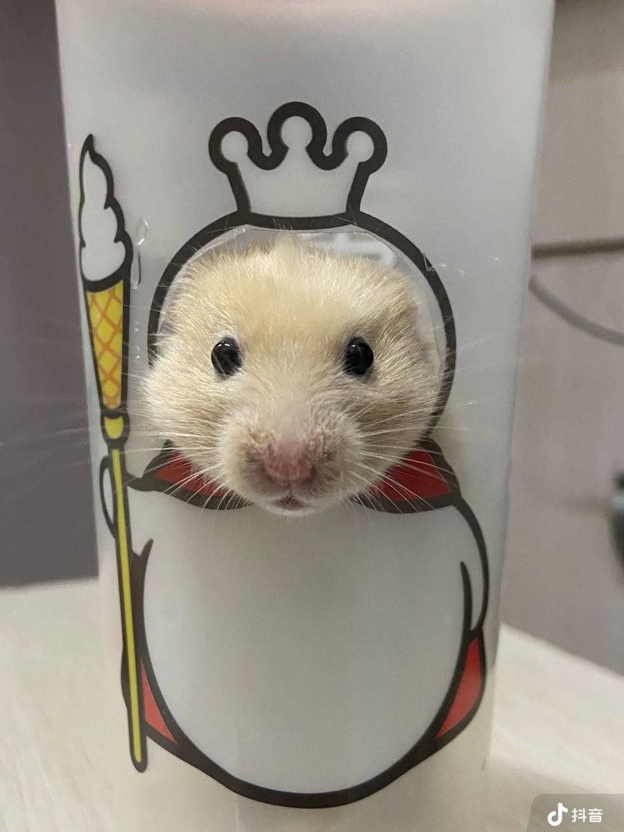 🐉尘心🐉Ⓜ️Ⓜ️T tweet media