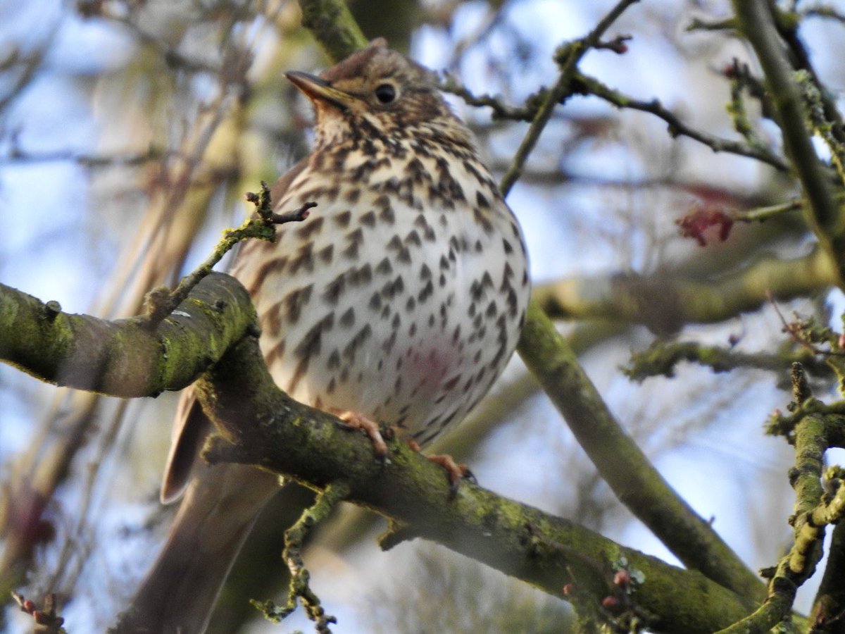 Steve Waldron tweet media