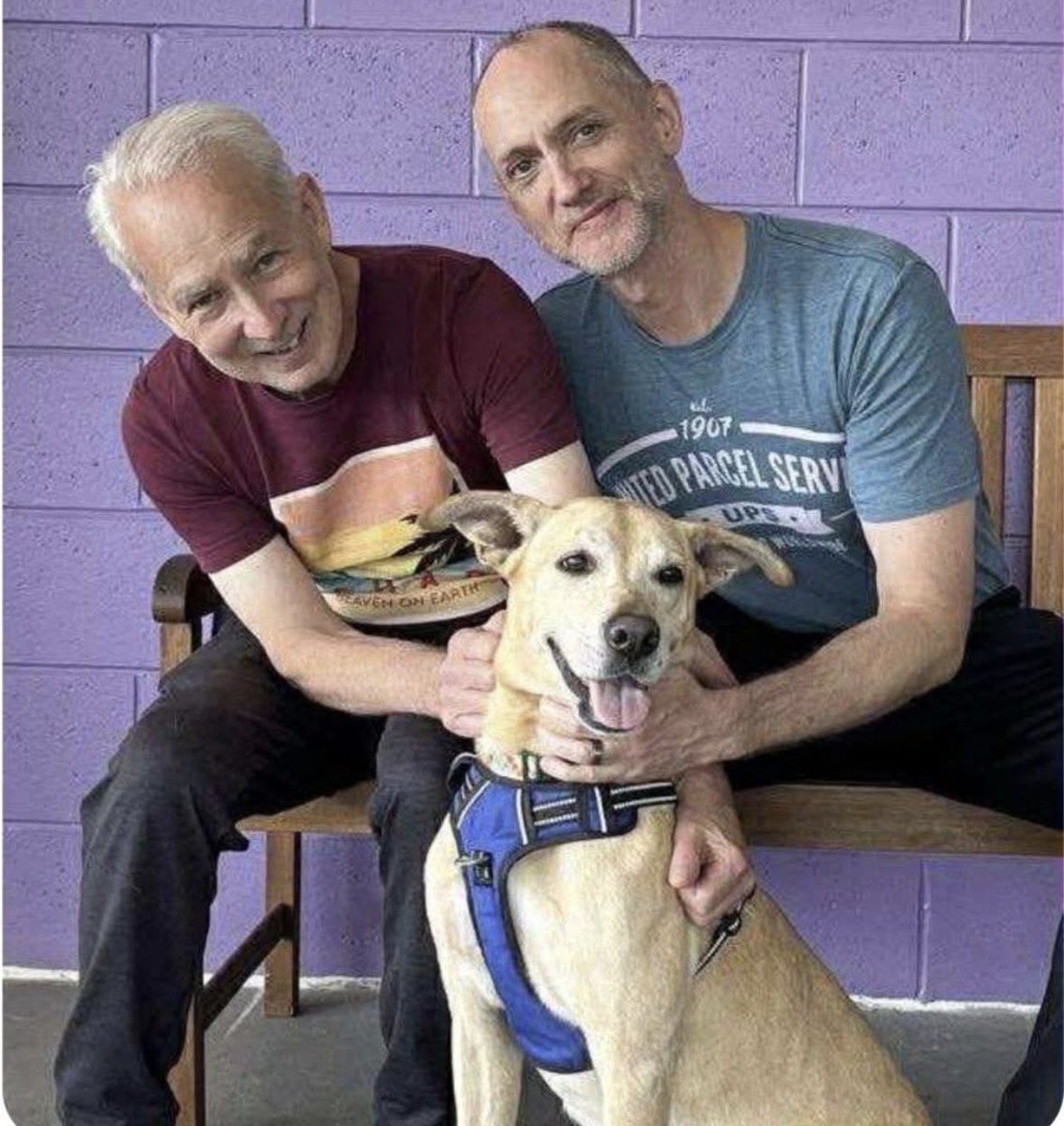 South Texas Animal Rescue Group, AKA STAR Group tweet media