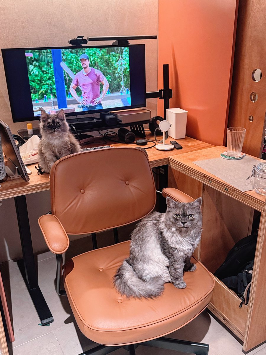 Syd 💗🫶😽 tweet media