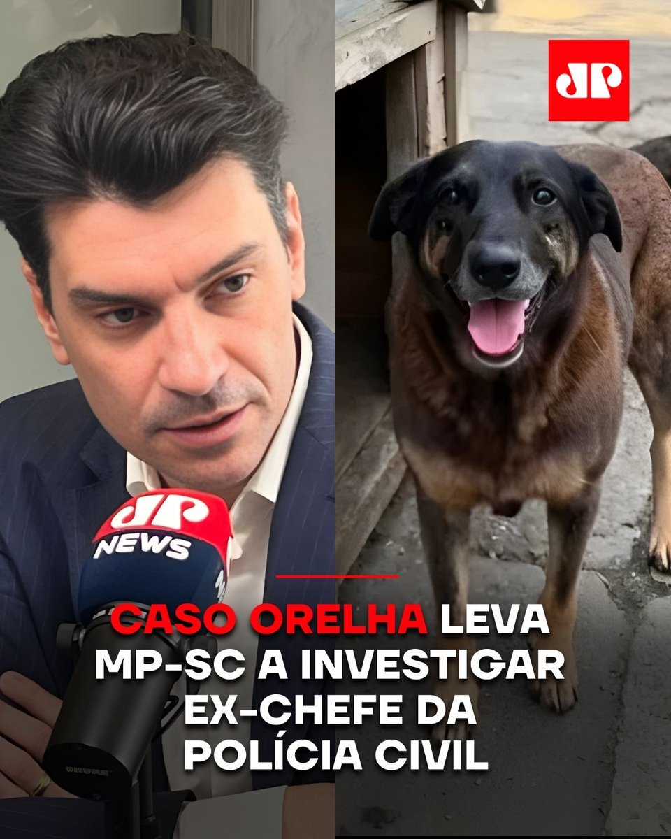 JovemPanNews's tweet photo. O Ministério Público de Santa Catarina abriu inquérito civil para apurar a atuação do ex-delegado-geral Ulisses Gabriel no caso do cão Orelha, que morreu após suspeita de maus-tratos na Praia Brava, em Florianópolis.

A apuração também inclui o caso do cachorro Caramelo. O MP deu prazo de 15 dias, a partir de sexta-feira (13), para que Gabriel apresente esclarecimentos. O caso Orelha teve reviravoltas: a versão inicial indicava agressão, mas um novo laudo não confirmou a causa da morte, embora não descarte violência.

Gabriel deixou o comando da Polícia Civil de Santa Catarina em fevereiro para disputar uma vaga como deputado estadual. A defesa nega irregularidades.

📺 Confira na JP News e Panflix 👉 https://t.co/aGG7BuLmSW 

 #Orelha #Maustratos #SantaCatarina #UlissesGabriel #PolíciaCivil #Justiça