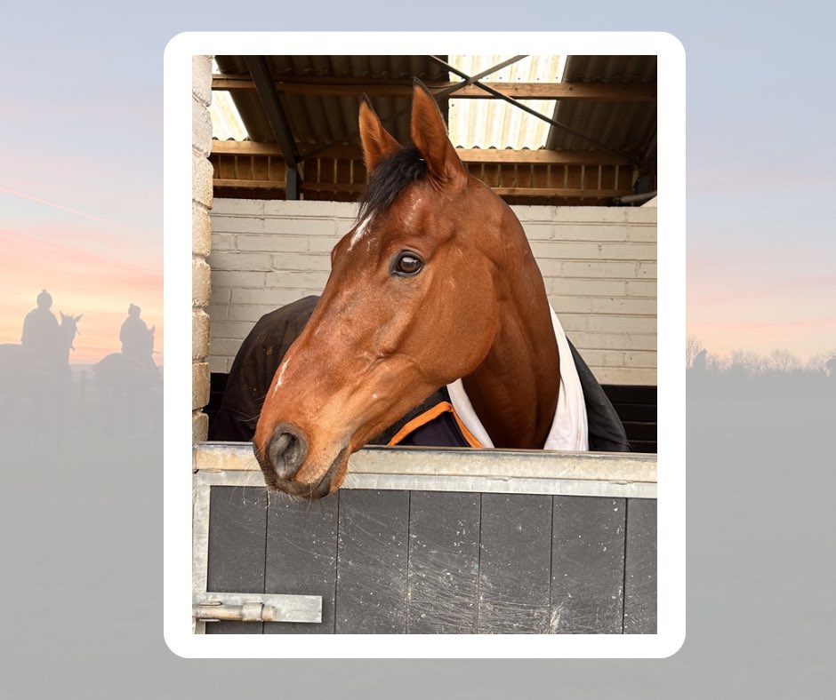 Emma Lavelle tweet media