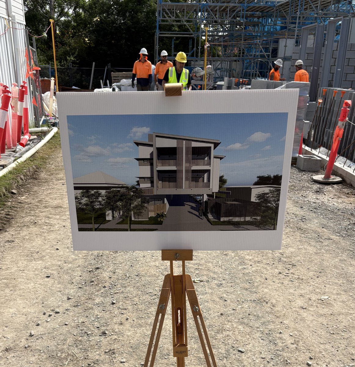 Shayne Neumann tweet media