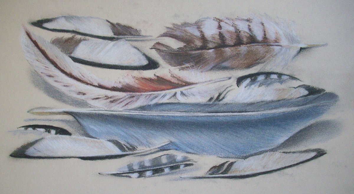 Kate Whapham tweet media