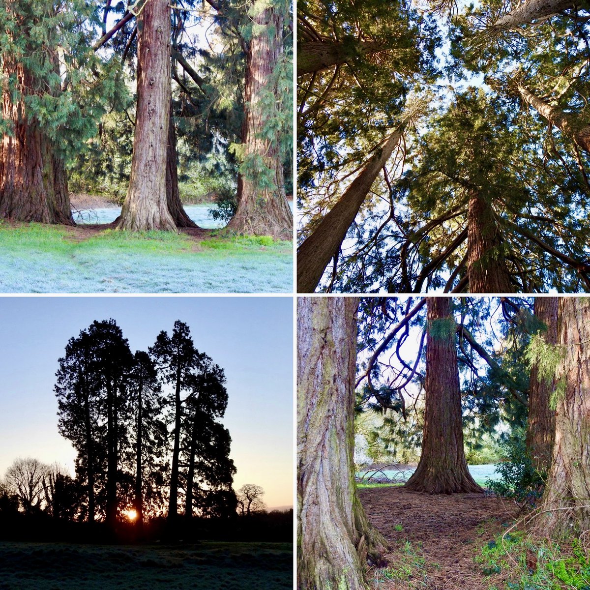 Steve Waldron tweet media