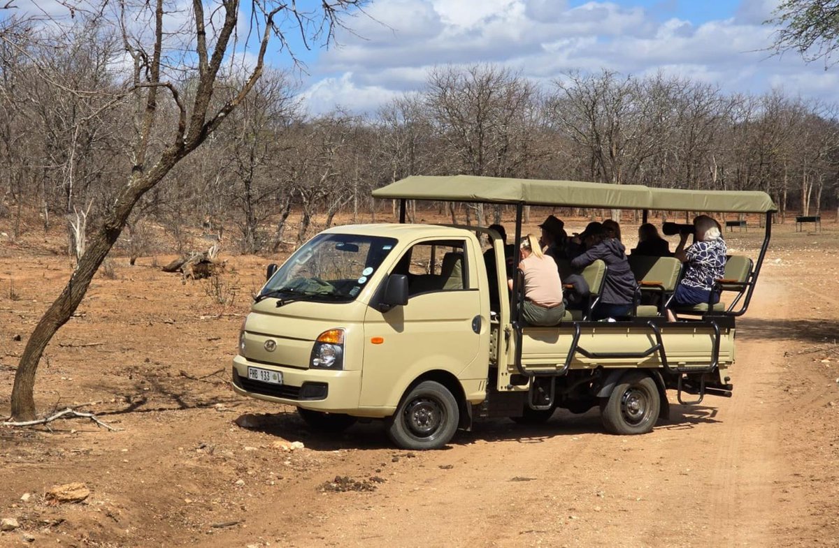 MediaWireSA tweet media