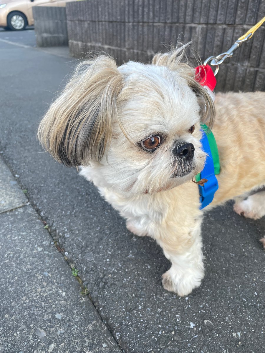 ぶんきんちゃんねる公式 tweet media