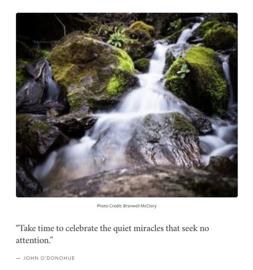 Jeff Remington tweet media