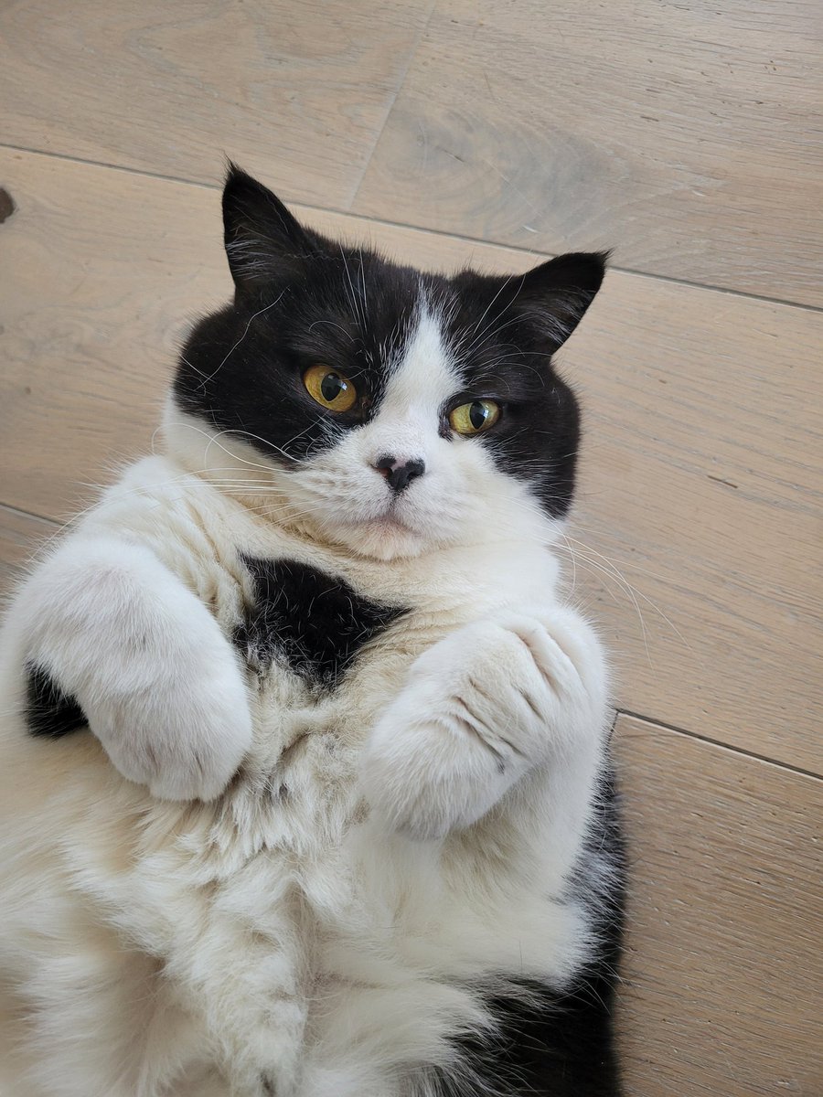 🌱LoezzB 🐾 tweet media