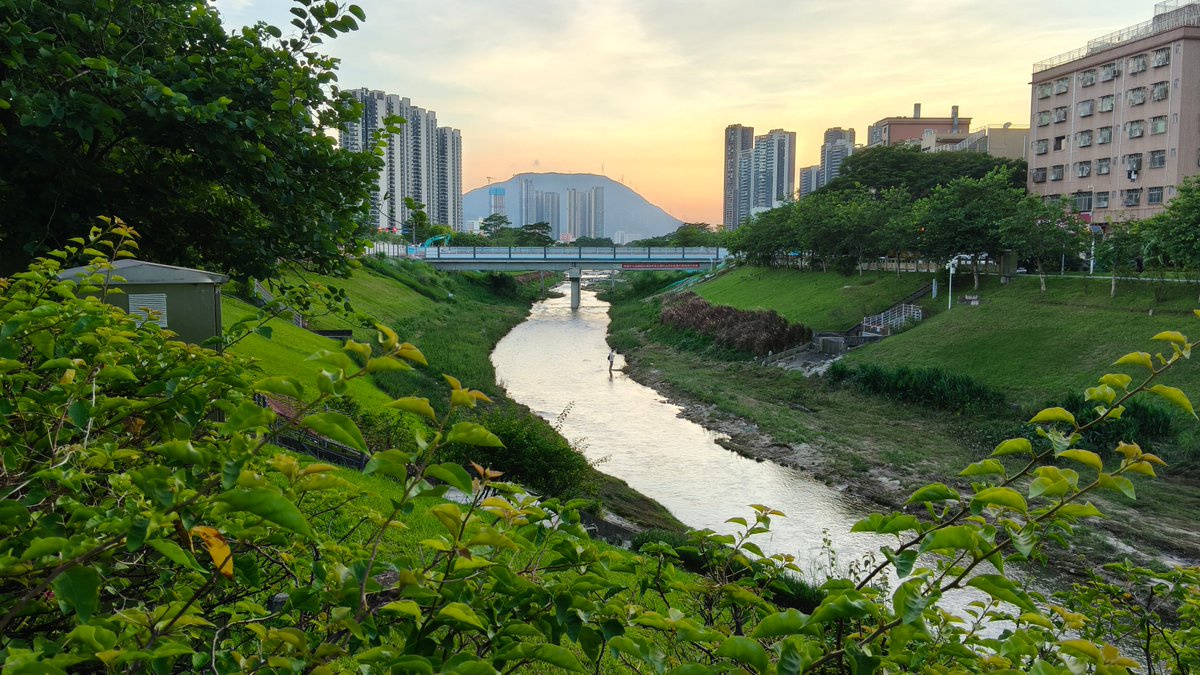 Bulut03231730's tweet photo. [Join our Photography Club’s Sunset Walk this Friday!  Capture golden-hour magic at Riverside Park, swap tips, and meet fellow shutterbugs. 6 PM, bring your camera/phone! Sign up via link in bio—spots limited!] https://t.co/ENgZJXWnUv