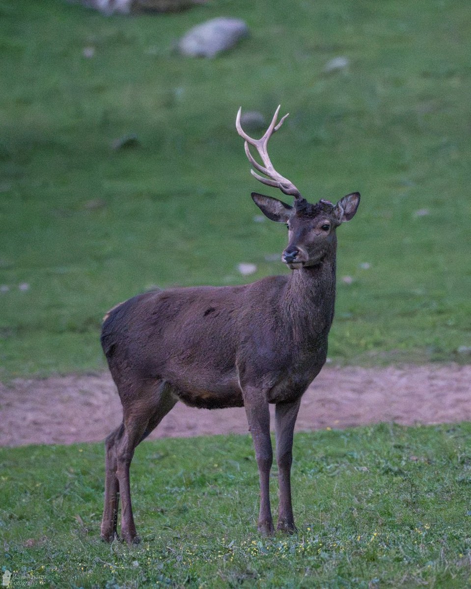 Mario Navarro tweet media