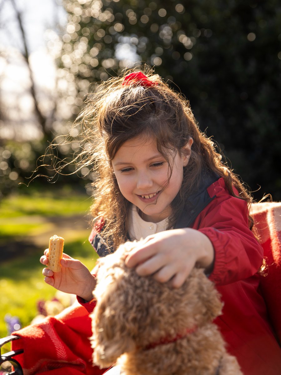 Walker's Shortbread tweet media