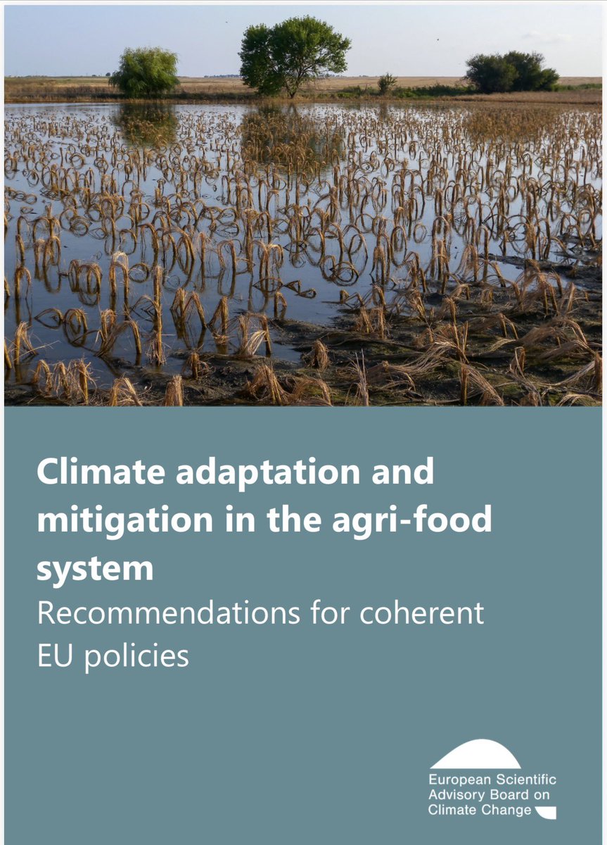 jacekzarzecki tweet media