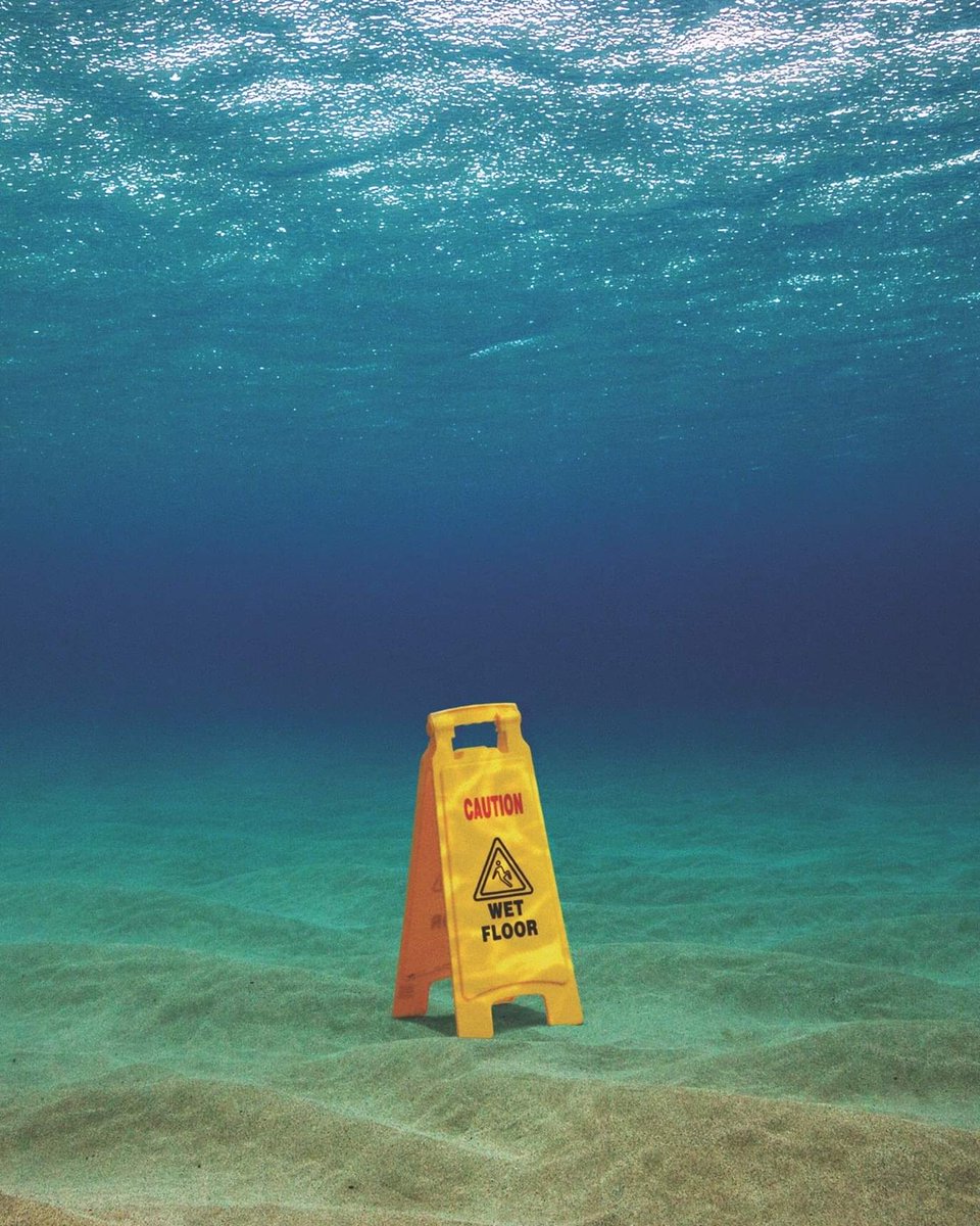 🇲🇳 Nomadic_life_style 🇲🇳 tweet media