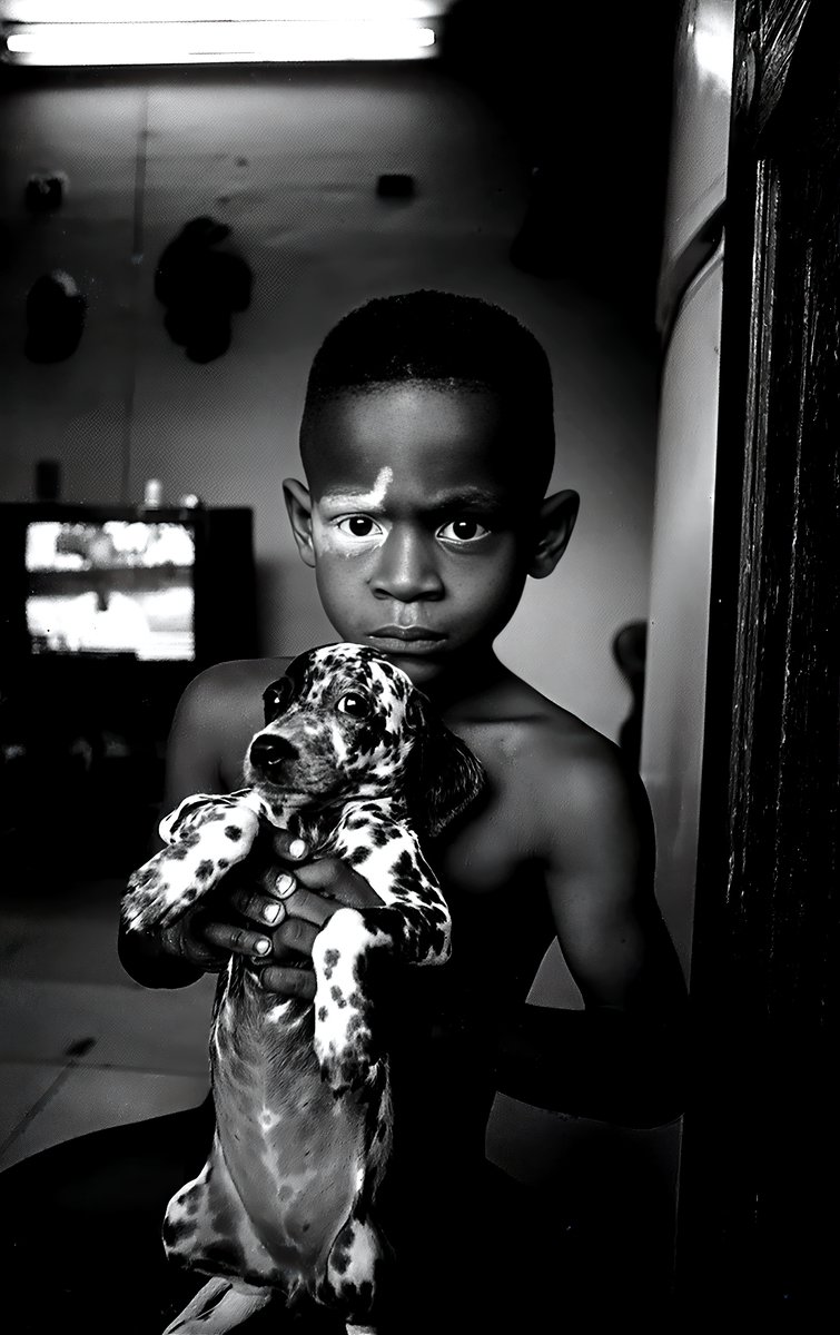 CameraLab tweet media